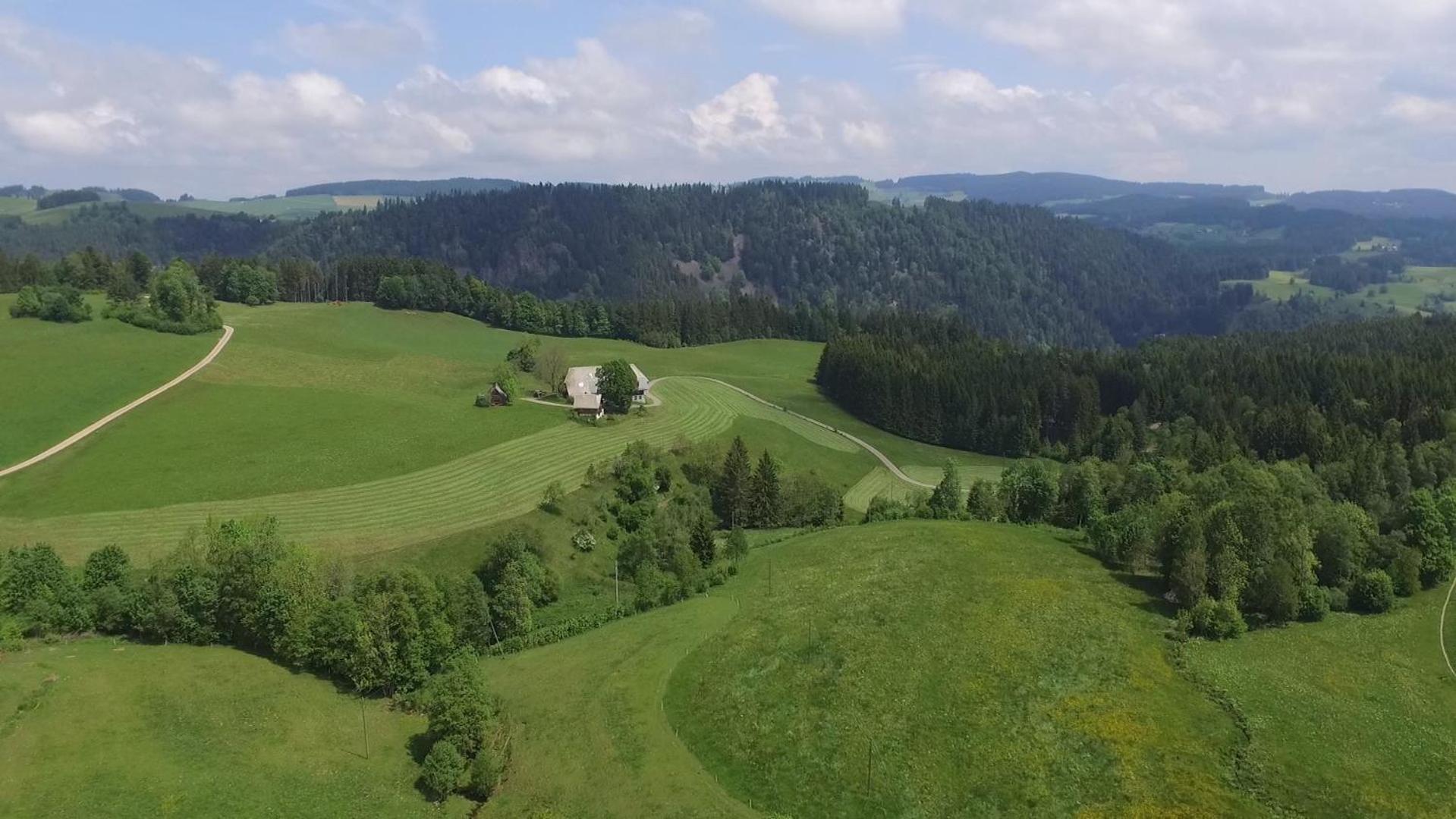 Ferienhaus Esche Hinterzarten Extérieur photo