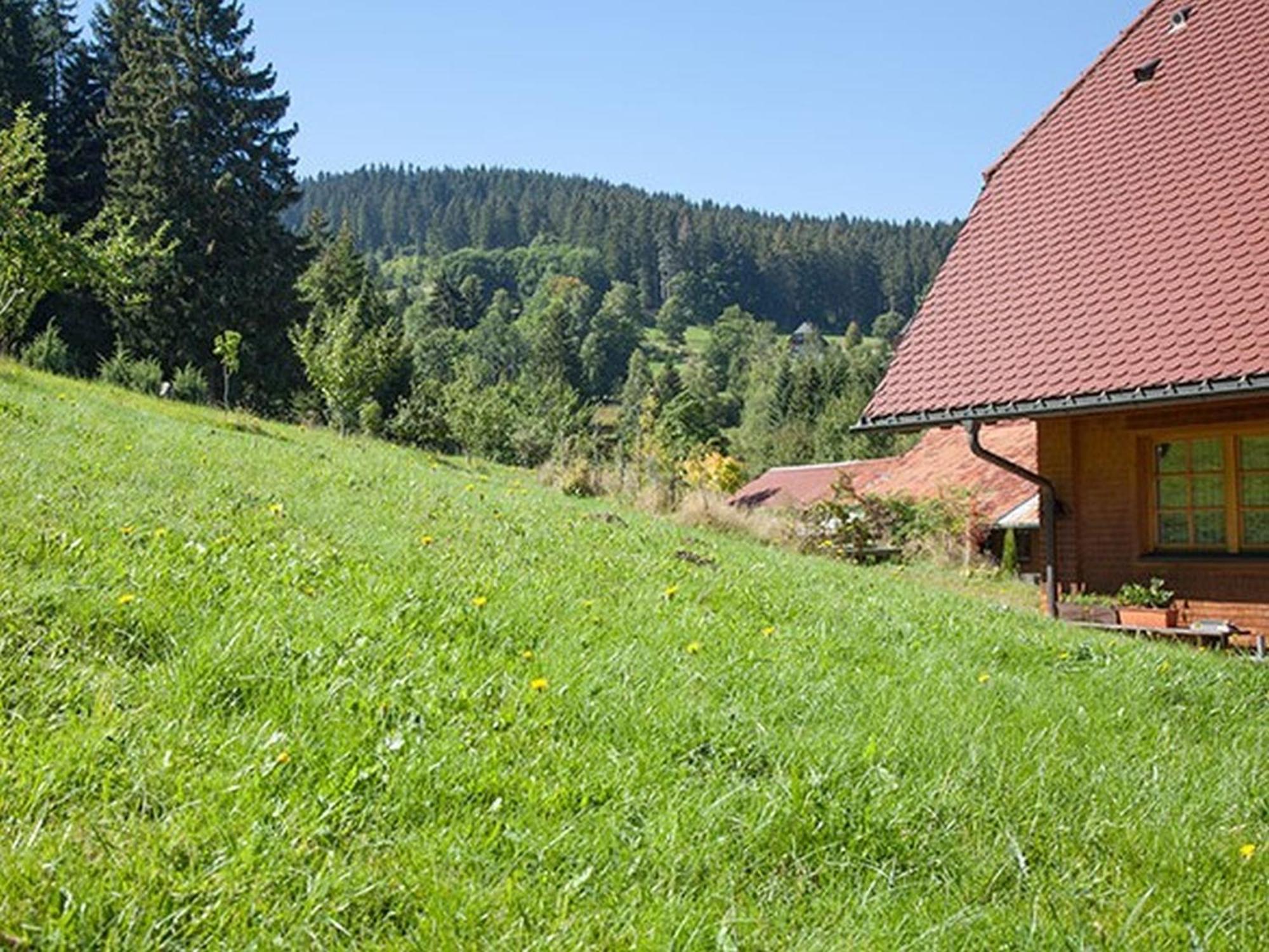 Ferienhaus Esche Hinterzarten Extérieur photo