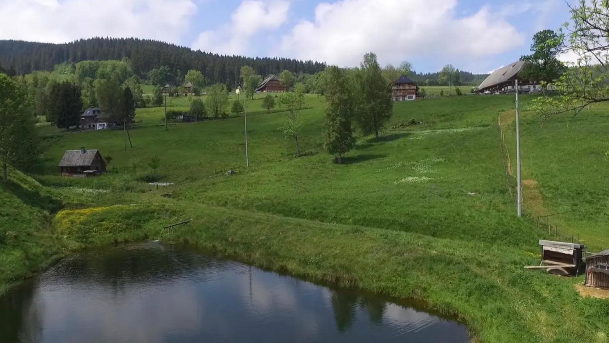 Ferienhaus Esche Hinterzarten Extérieur photo