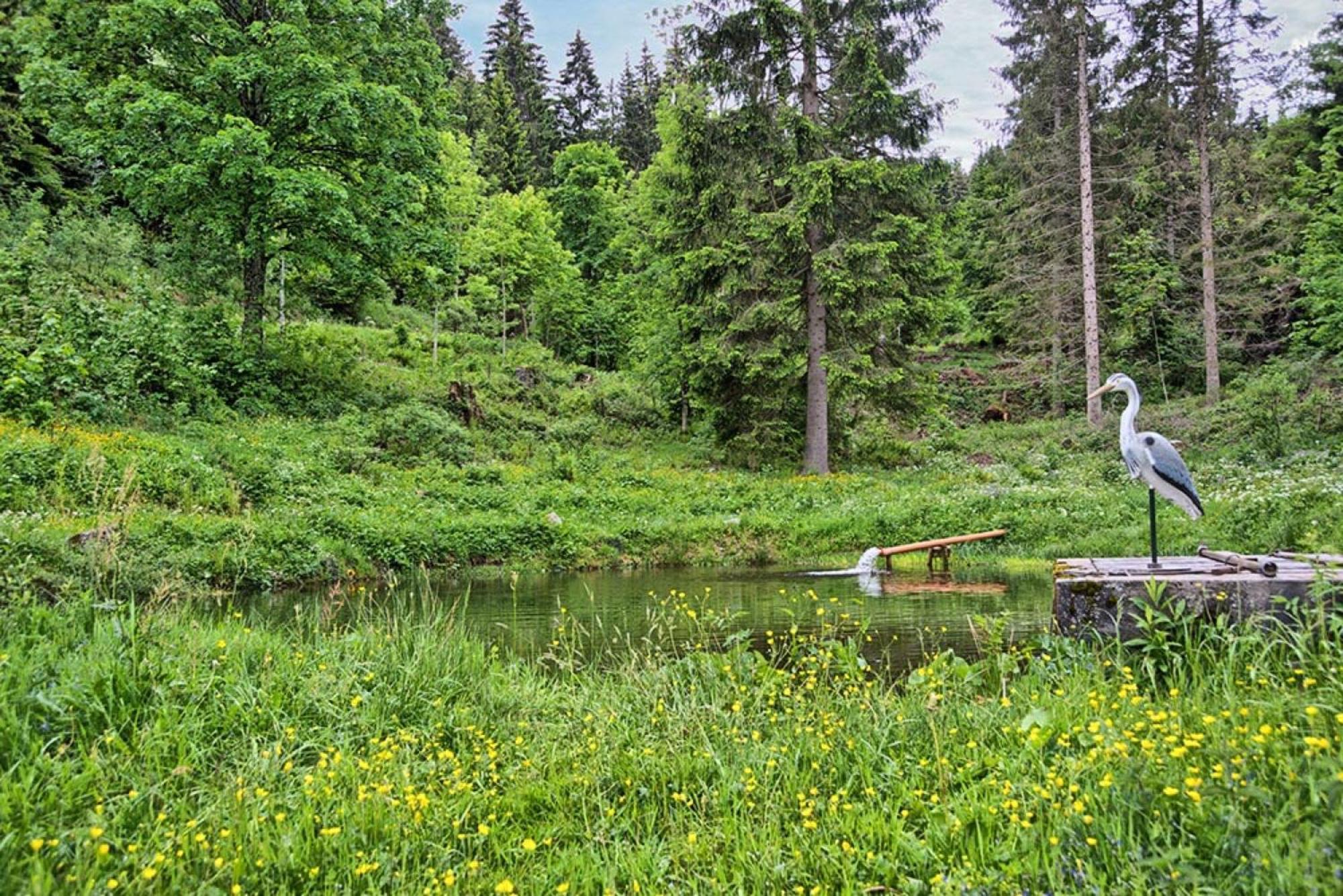 Ferienhaus Esche Hinterzarten Extérieur photo