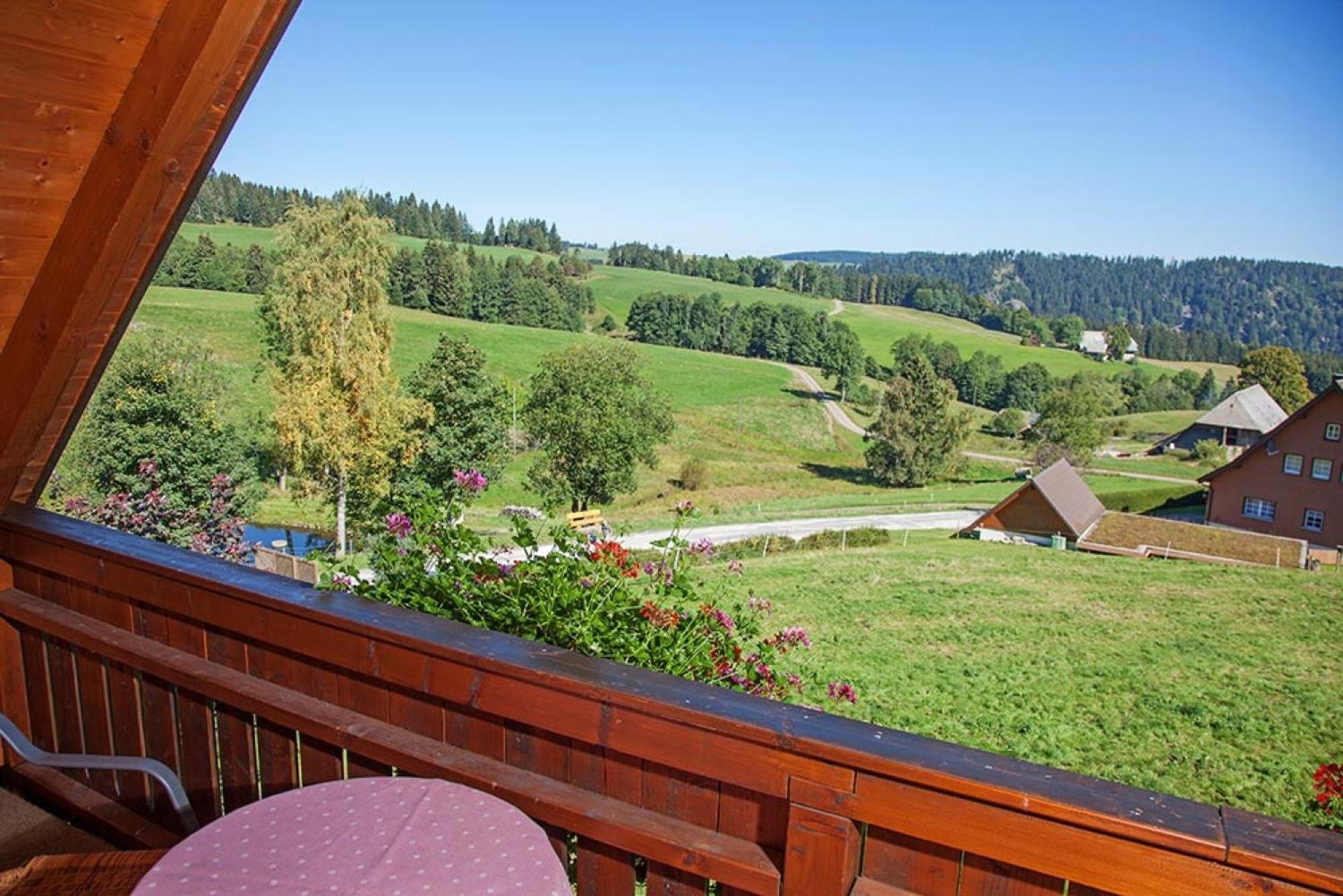 Ferienhaus Esche Hinterzarten Extérieur photo