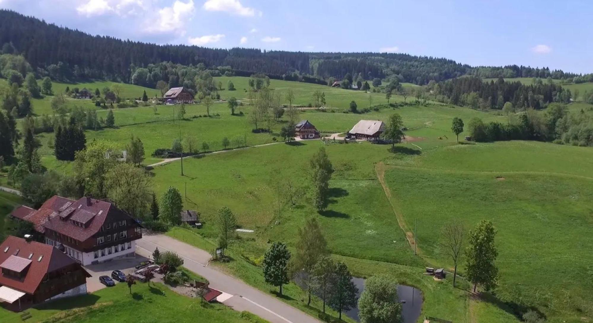 Ferienhaus Esche Hinterzarten Extérieur photo