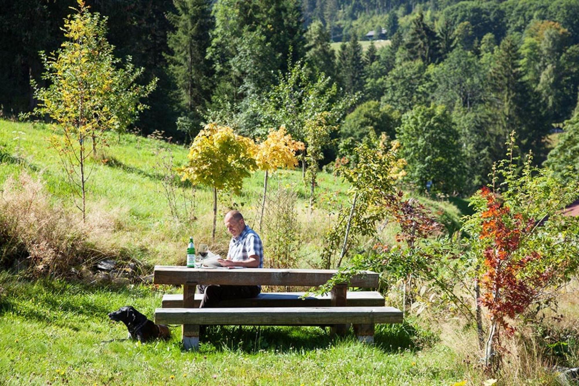 Ferienhaus Esche Hinterzarten Extérieur photo