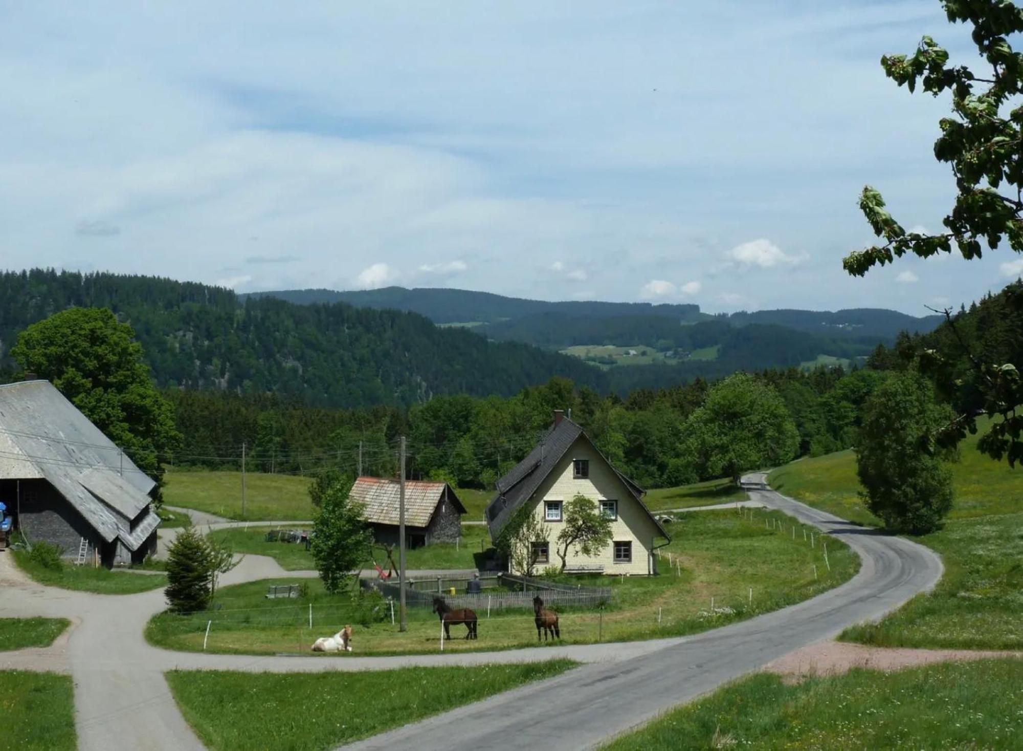 Ferienhaus Esche Hinterzarten Extérieur photo